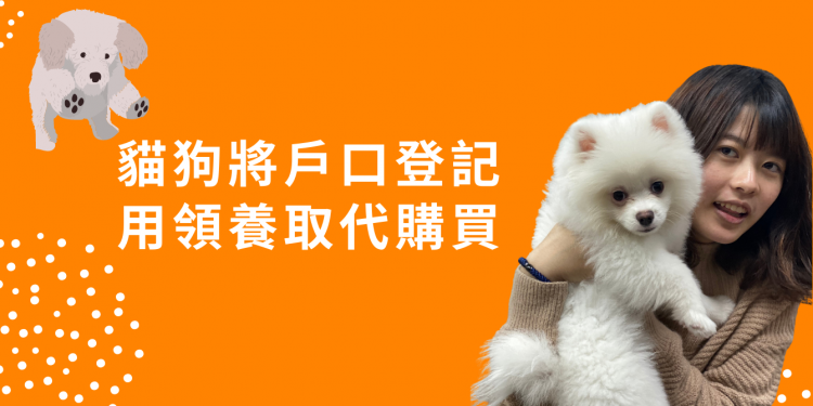 貓狗將戶口登記 用領養取代購買