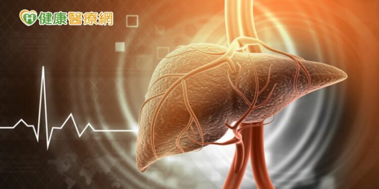 發生率持續升高! 非酒精性脂肪肝炎治療新突破