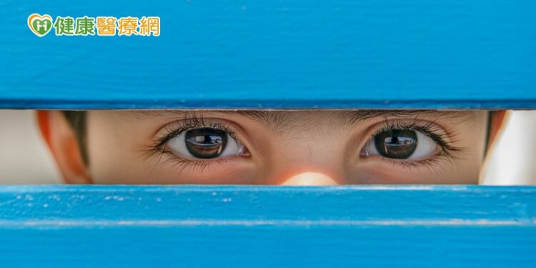 用眼過度只吃「葉黃素」不夠？　醫師點名10大護眼食物！