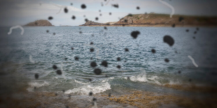 眼前出現黑點 飛蚊症的成因與保養一次看