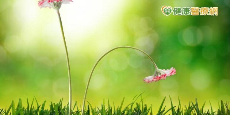 網路買壯陽藥提升閨房樂小心致死! 藥師揭3個用藥原則