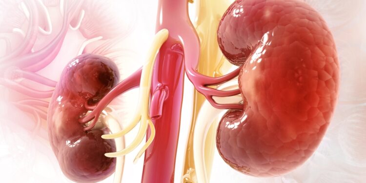 從標靶干預到精準防線:Jinarc 如何翻轉多囊腎(ADPKD)治療佈局