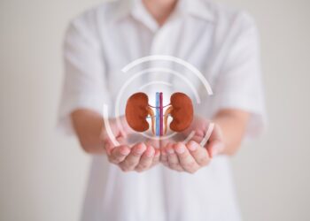 不再因為腰痛而失眠：縮小腎臟體積對緩解多囊腎併發症的實質幫助