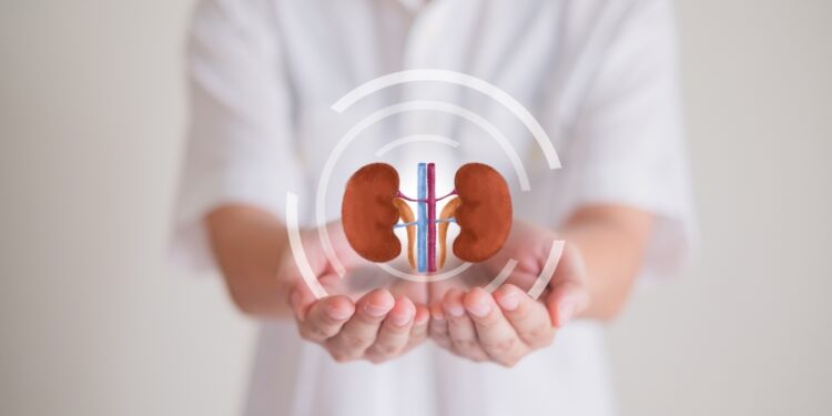 不再因為腰痛而失眠:縮小腎臟體積對緩解多囊腎併發症的實質幫助