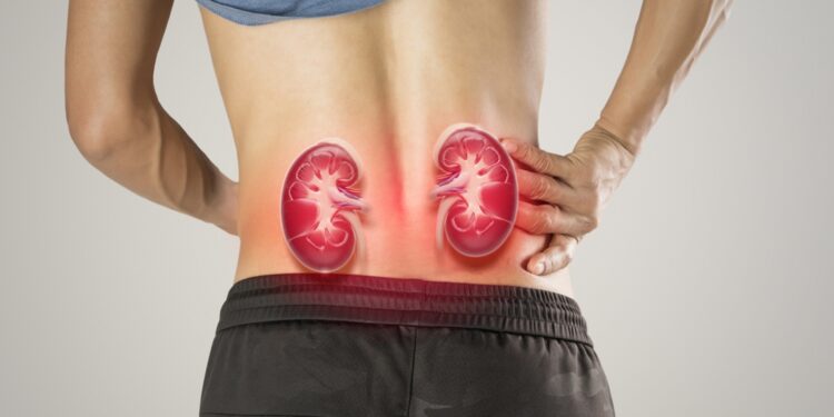 守住 ADPKD 的腎絲球過濾率 (eGFR)：穩定腎功能的長期追蹤報告